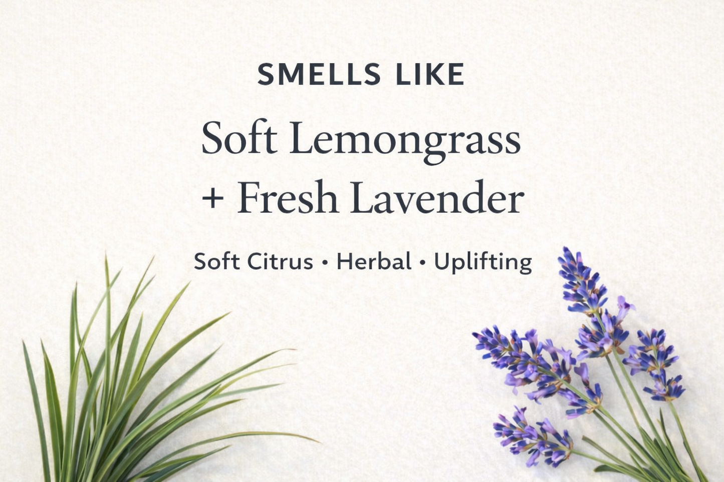 Litsea & Lavender Tallow Balm